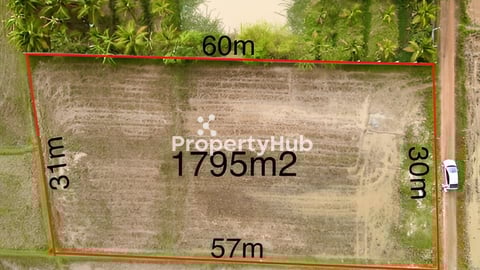 ខេត្តកំពត​ ក្បែរផ្សារឈូក