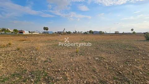 ដីលក់បន្ទាន់