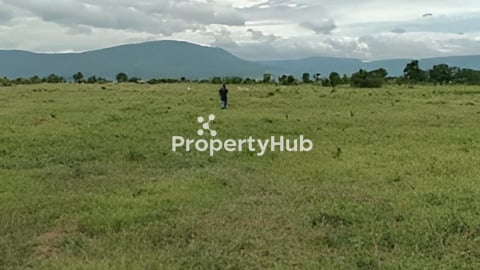 ដីចំការជួល