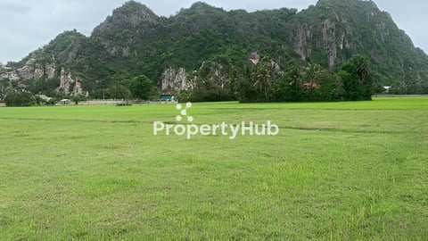 ដីលក់បន្ទាន់