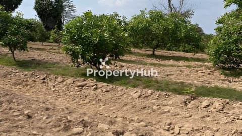 ដីលក់ក្រោមទីផ្សារ