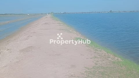 លក់ដីស្រែ ទំហំ 550 ហិតា តម្លៃ 5500$ ក្នុង1ហិតា ចចារ ប្លង់រឹង មានអាងទឹករដ្ឋ (ទំនប