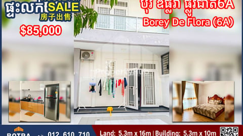 Linkhouse for Sale Borey De Flora, National Road 6A