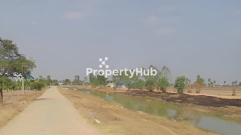 ដីអង្គស្នួល លើប្រឡាយព្រែកតាហោ