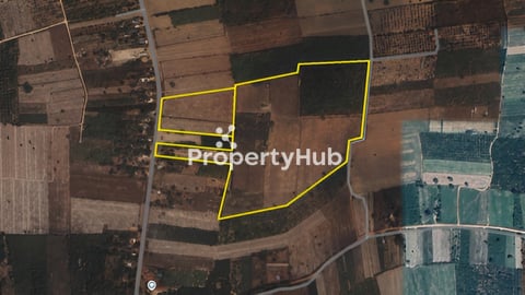 ដីចម្ការជើងភ្នំគូលេន ប្លង់រឹង 16ហិចតា