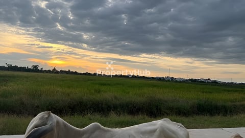 តំលៃ300$ប្លង់រឹង