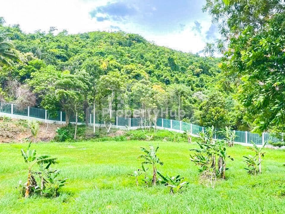 Property 4