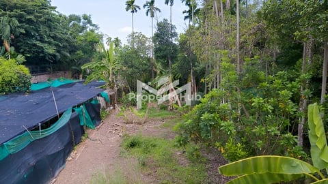 Land for Sale in Prek Aeng