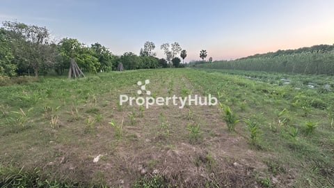 ដីលក់បន្ទាន់