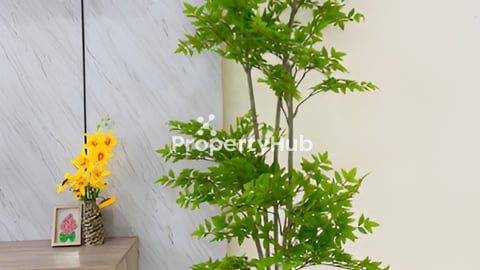 Cheap rental housing