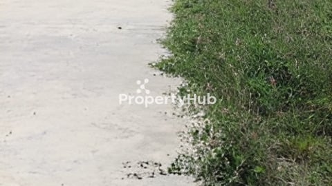 ដីឡូ លំនៅដ្ឋានលក់