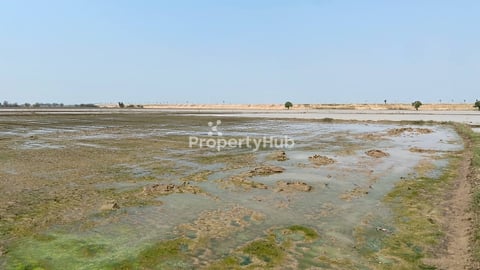 ដីលក់បន្ទាន់7NG ក្បាលដី 68m x 250m (ប្លង់រឹង 18575m/2)
