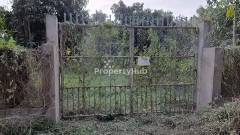 ដីលក់តម្លៃ $45,000 (ចរចា) ស្ថិតនៅជិតរមនីយដ្ឋានភូមិផ្កាត្រកួន និងមានចម្ងាយ ២៧គីឡូ