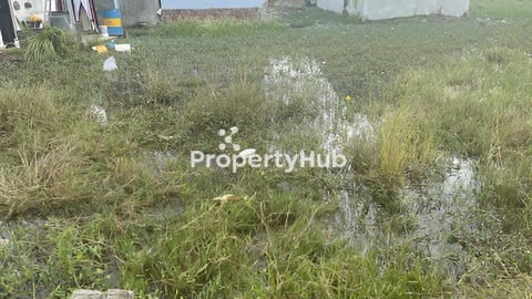 ដីលក់បន្ទាន់