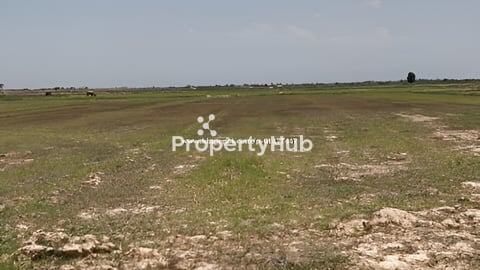 ដីនៅថ្នល់កែងលក់