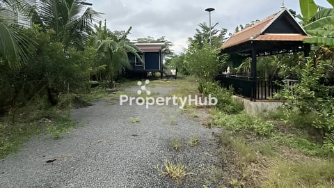 ប្លង់រឹង