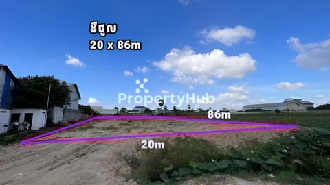 ដីជួល​ ជិតផ្លូវទំនប់កប់ស្រូវ