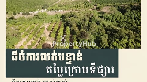 ដីលក់បន្ទាន់​ ម្ចាស់ផ្ទាល់ 📍 នៅម្ដុំតេជោអភិវឌ្ឃន៌ អាចចូលតាមផ្លូវជាតិលេខ៣ ឬលេខ៤ក៏បាន