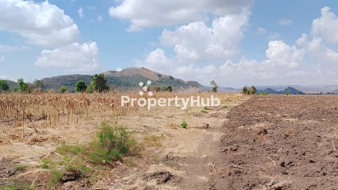 ដីជាប់ផ្លូវរដ្ឋ 100មx400ម ផ្លូវធំបាណន់អក្សរតេ