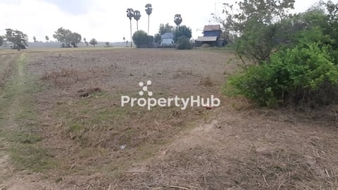 លក់បន្ទាន់ ដីស្រែក្បែរ រោងចក្រ ជាប់ផ្ទះអ្នកភូមិលក់ បន្ទាន់ នៅស្រុកសំរោងទង ឃុំសំរ