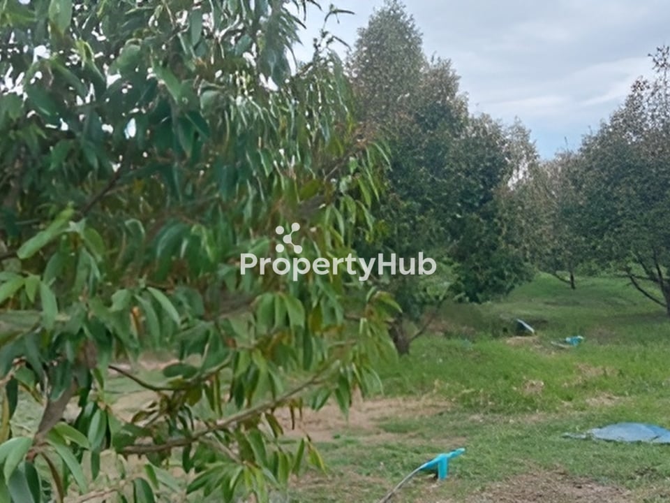 Property 4