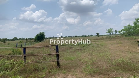 ដីភូមិ សម្រាប់លក់ សៀមរាប, ត្រីញ័រ, ពួក, សៀមរាប (ម្ចាស់ផ្ទាល់)070249983