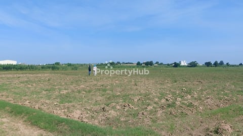 ដីលក់(ប្លង់រឹង)