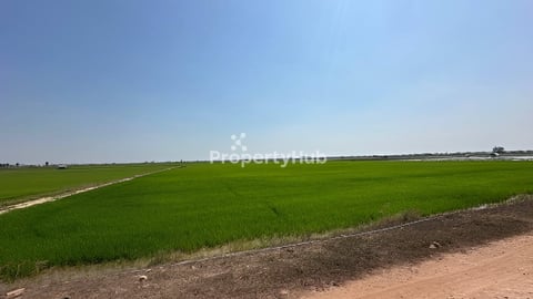 ដីស្រែលក់បន្ទាន់ 100m x 180m