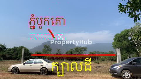 ដីក្នុងក្រុងកំពត លក់បន្ទាន់