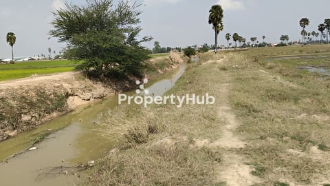 ដីលក់នៅពួក ជិតភោជិយដ្នានសួនទន្សាយ ដីកែង លើផ្លូវប្រឡាយ