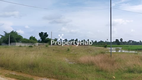 ដី ក្រុមង៉ុយ