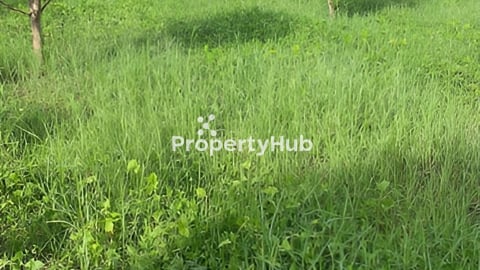 Land for sale