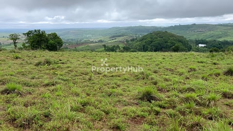 ដីលក់ប្លងរឹងជាប់ Hilltop Resort ប្រញាប់លុយ