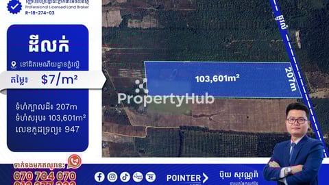 ដីចំការស្វាយលក់នៅជិតរមណីយដ្ឋាន ភ្នំវល្លិ ខេត្តកំពត