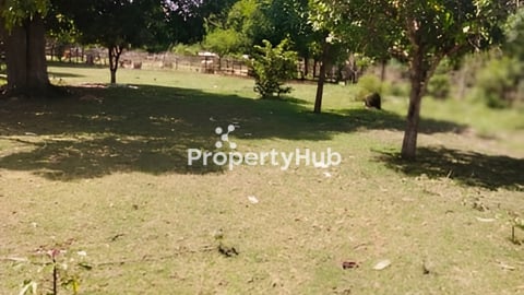 ដីលក់បន្ទាន់