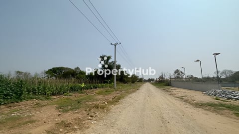 ដីលក់ ជិតបុរីប៉េងហួតបឹងស្នោរ (ចរចា)