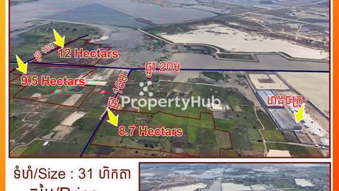 Land 31ha for sale under market price