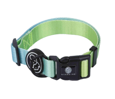 Zinc Alloy D Buckle Nylon Pet Collar