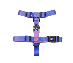 Stylish Adjustable Pet Vest Harness
