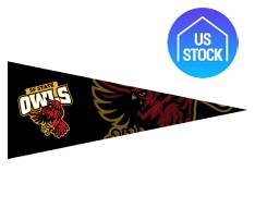 12" x 30" Full Color Felt Pennant Flag Banner
