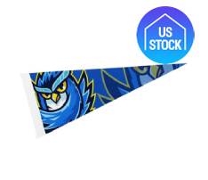4" x 10" Full Color Felt Pennant Flag Banner with Strip