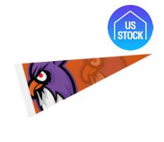 5" x 12" Full Color Felt Pennant Flag Banner with Strip