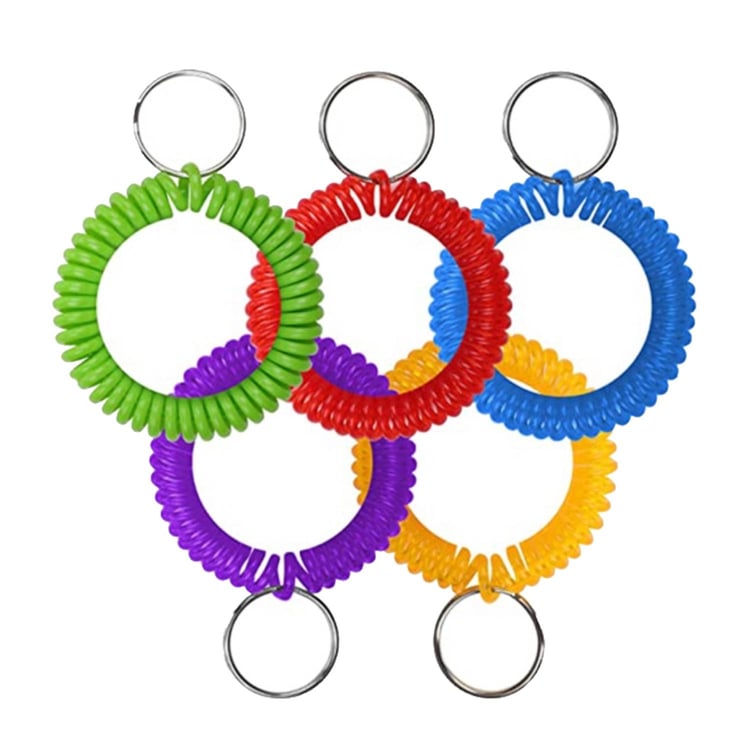 Spiral Wrist Coil Keyring