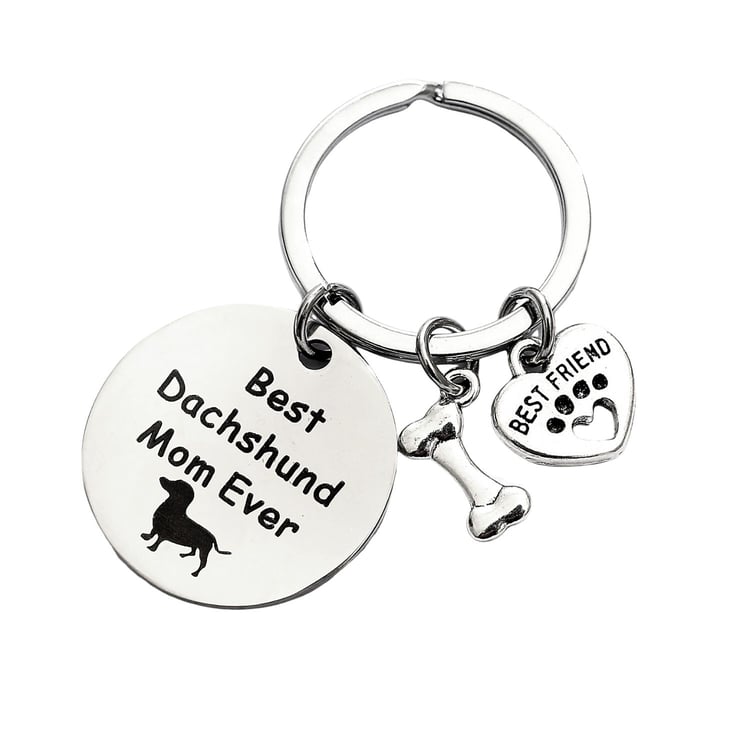 Stainless Steel Round Pet Logo Keychain