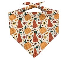 Triangle Hemmed Polyester Pet Bandana