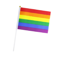9" x 6" Hand Waving Flag Banner