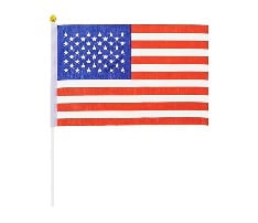 12" x 8" Hand Waving Flag Banner