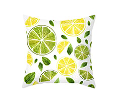 Digitally Printed Short Plush Throw Pillow Cover