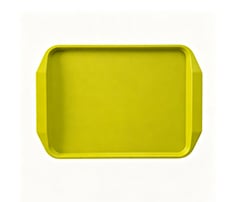 Food Serving Plastic Tray
