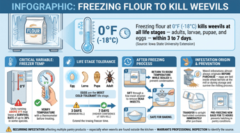 Does Freezing Flour Kill Weevils?